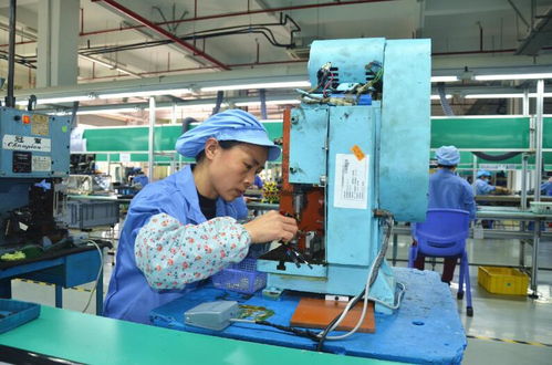 吉安永新縣新春企業生產忙 驅蚊器材制造訂單旺